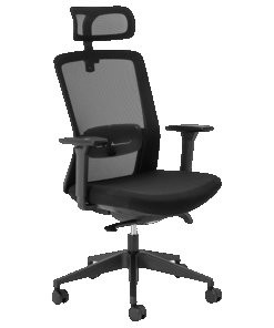 Aila Ergo High Back Chair