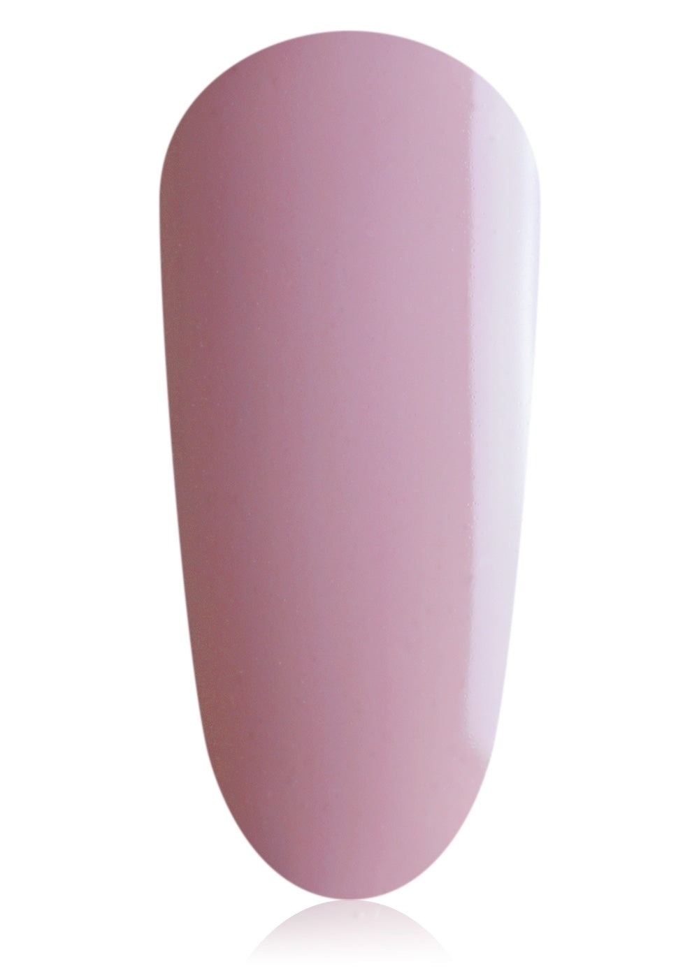 Bulk Poly Coated Disposable Carboard - Stikem Glue